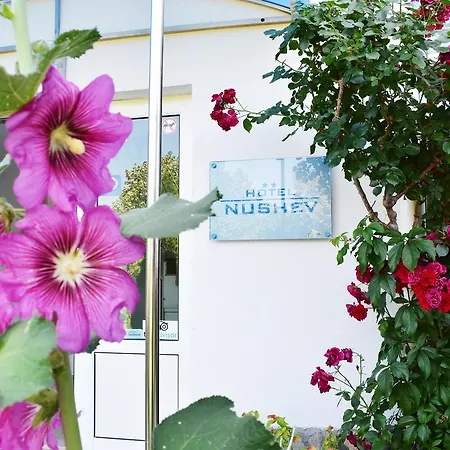 Nushev Hotel Sveti Vlas