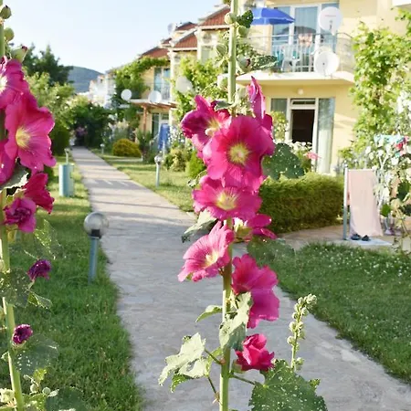 Otel Nushev